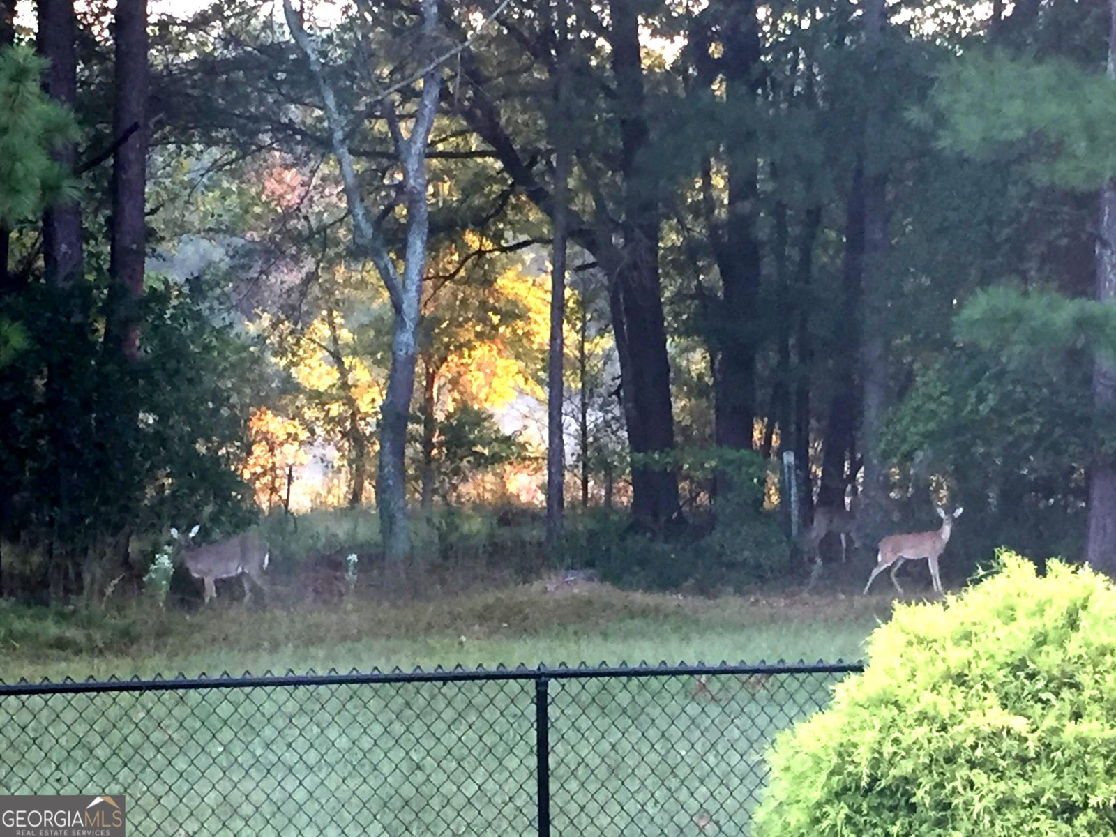 623 Teal Drive Winder - 6