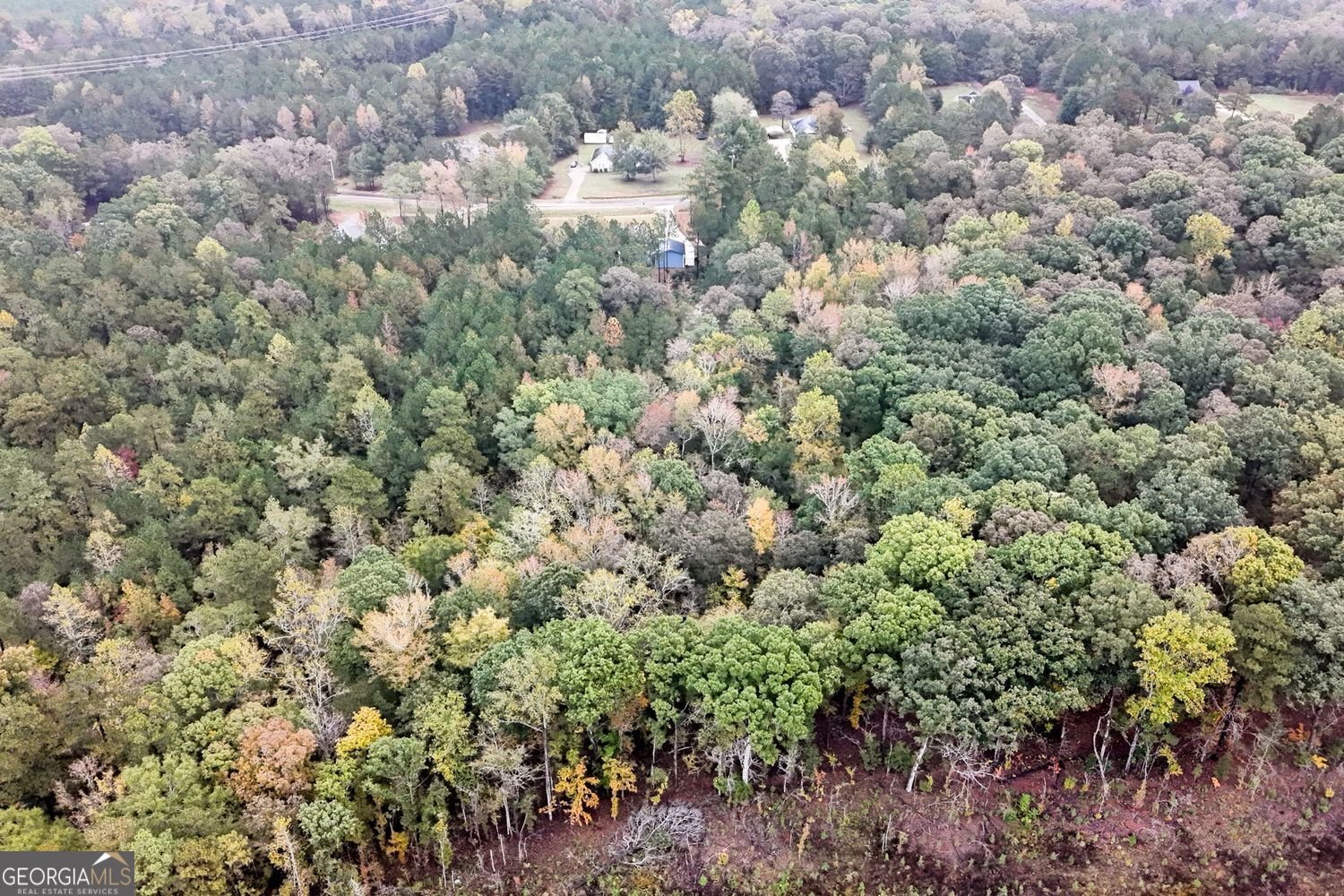 410 Strickland Loop Forsyth - 15