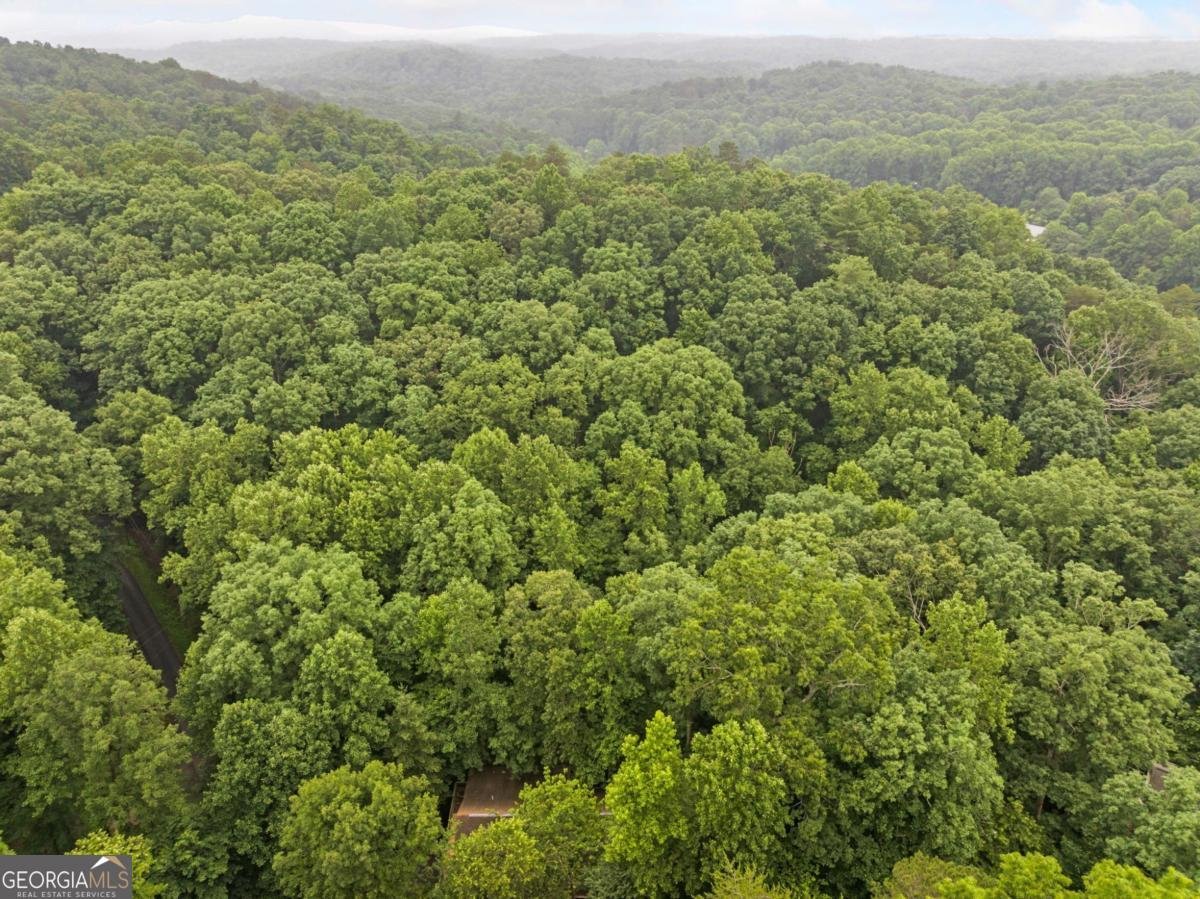 65 Dogwood Lane Ellijay - 39