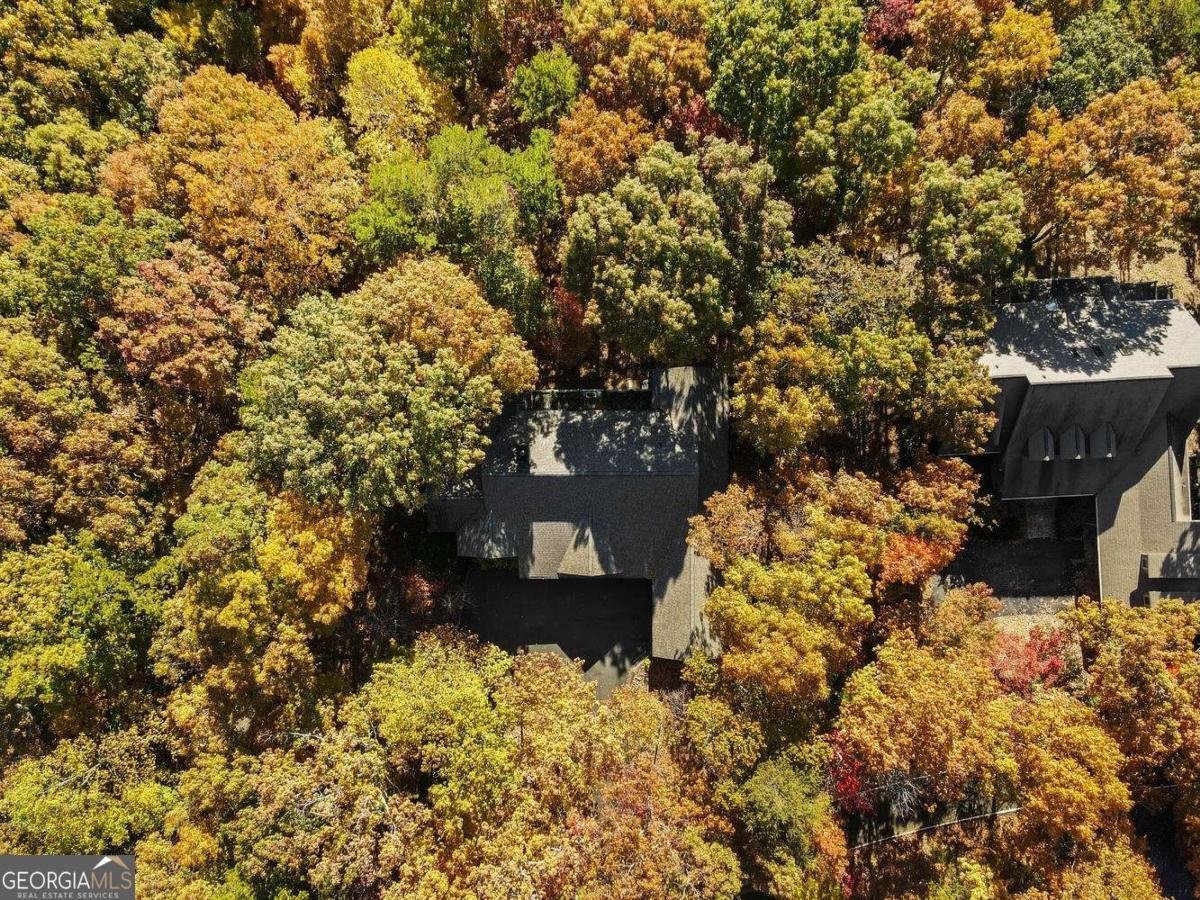 51 Indigo Bunting Trail Jasper - 21