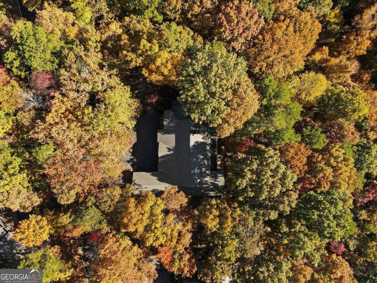 51 Indigo Bunting Trail Jasper - 22