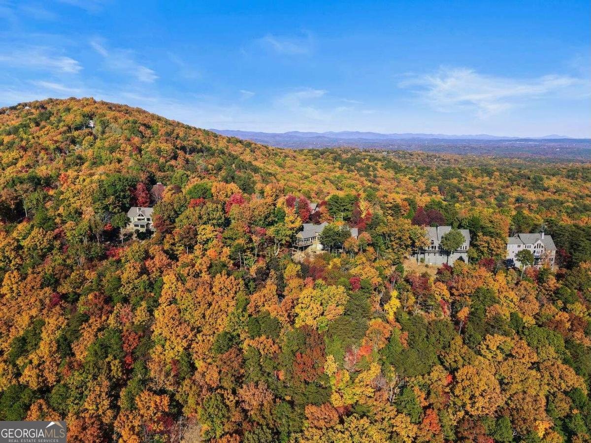 51 Indigo Bunting Trail Jasper - 23