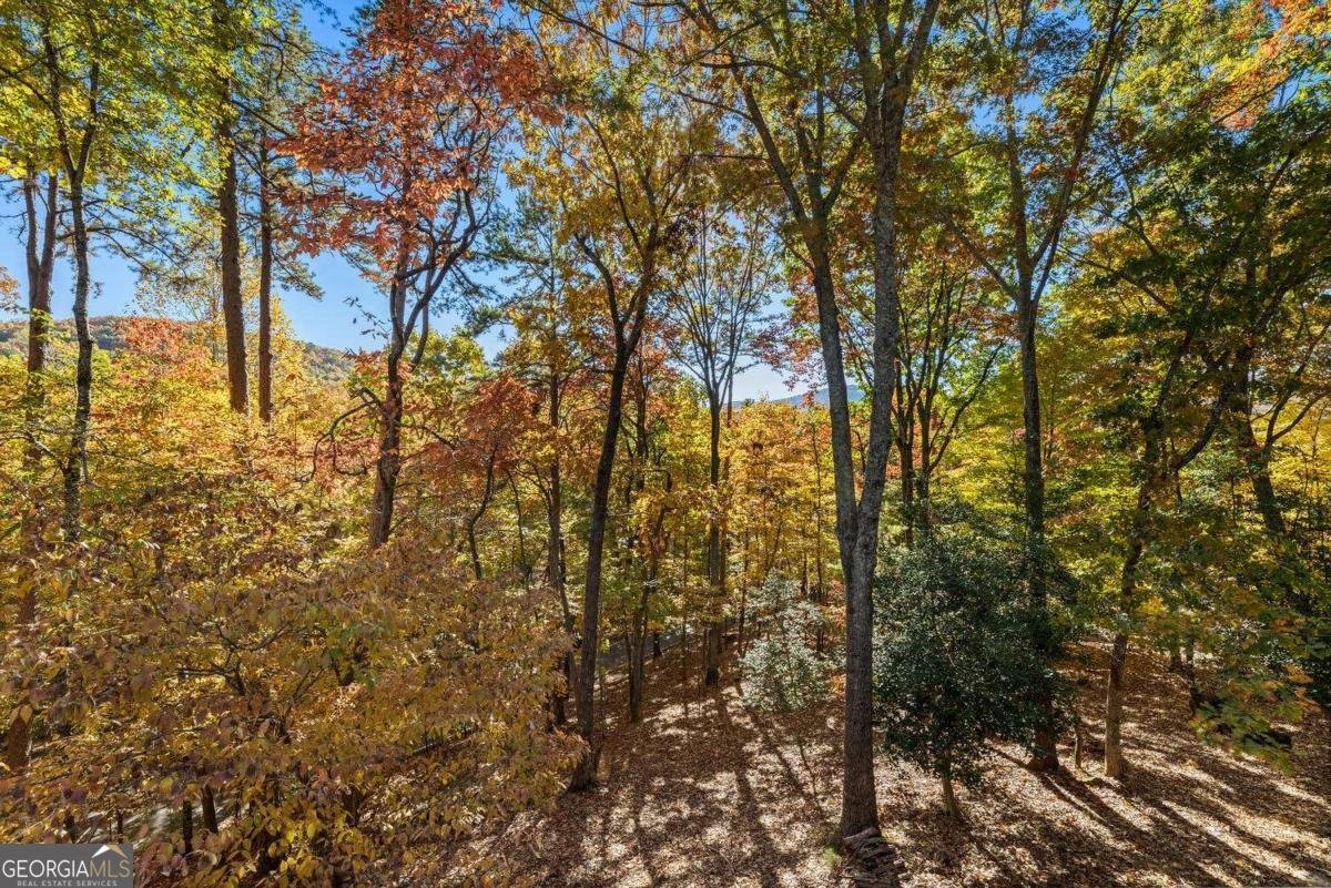 51 Indigo Bunting Trail Jasper - 77