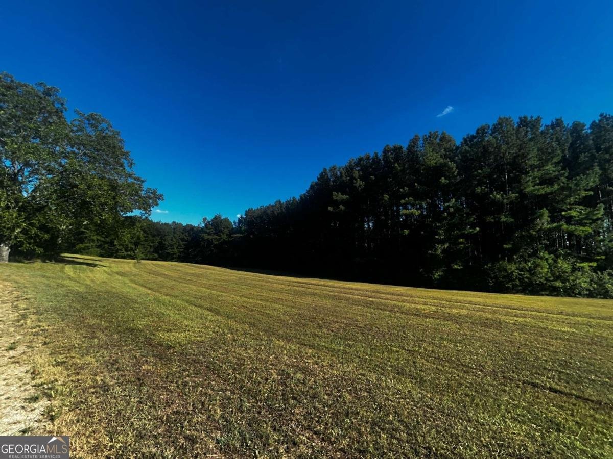 91 Almetie Drive Toccoa - 11