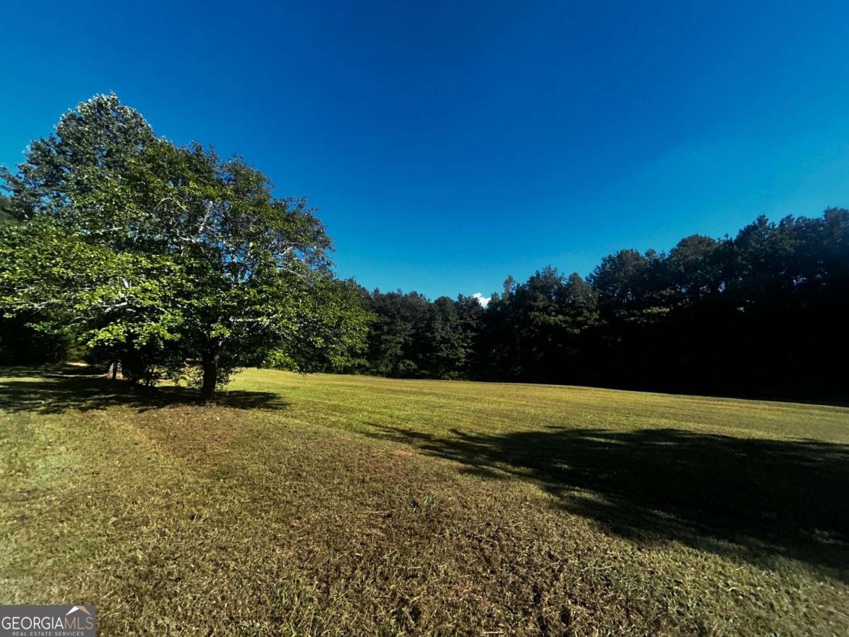 91 Almetie Drive Toccoa - 13