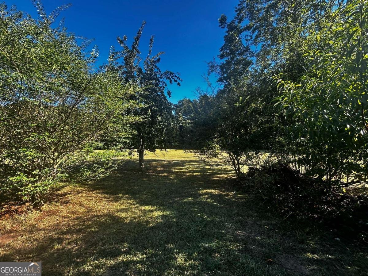 91 Almetie Drive Toccoa - 17