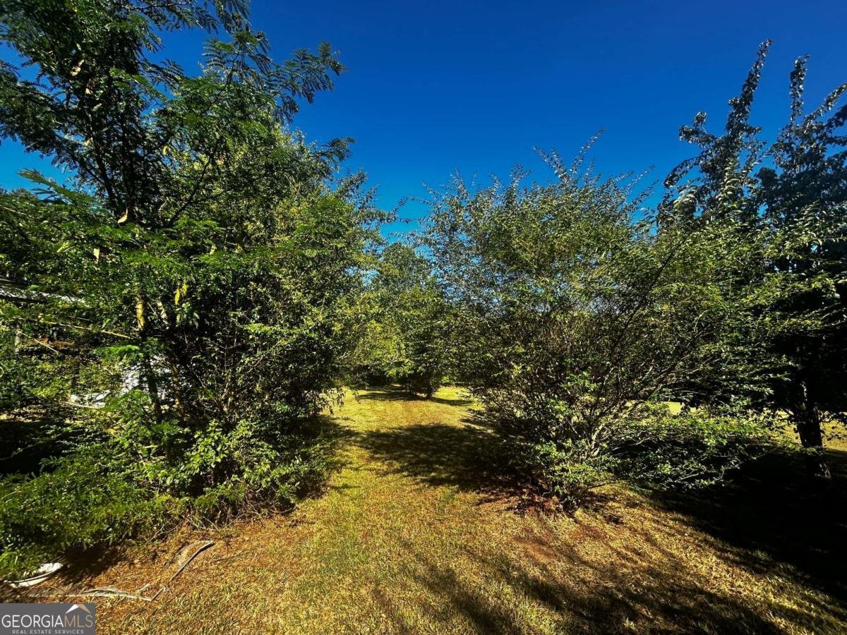 91 Almetie Drive Toccoa - 18