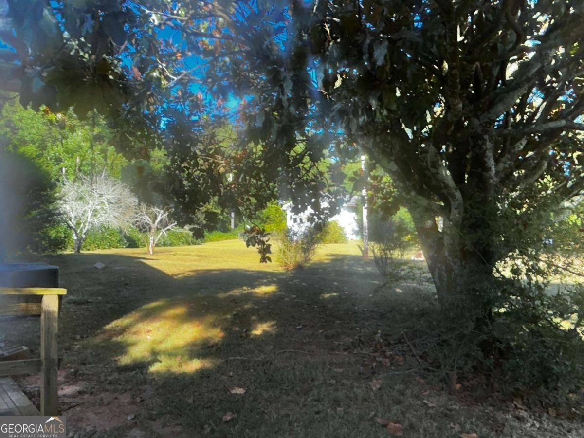 91 Almetie Drive Toccoa - 3