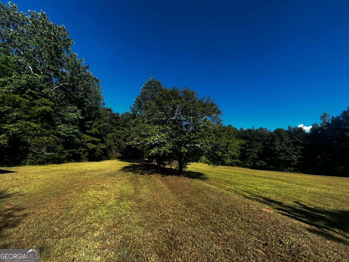 91 Almetie Drive Toccoa - 7