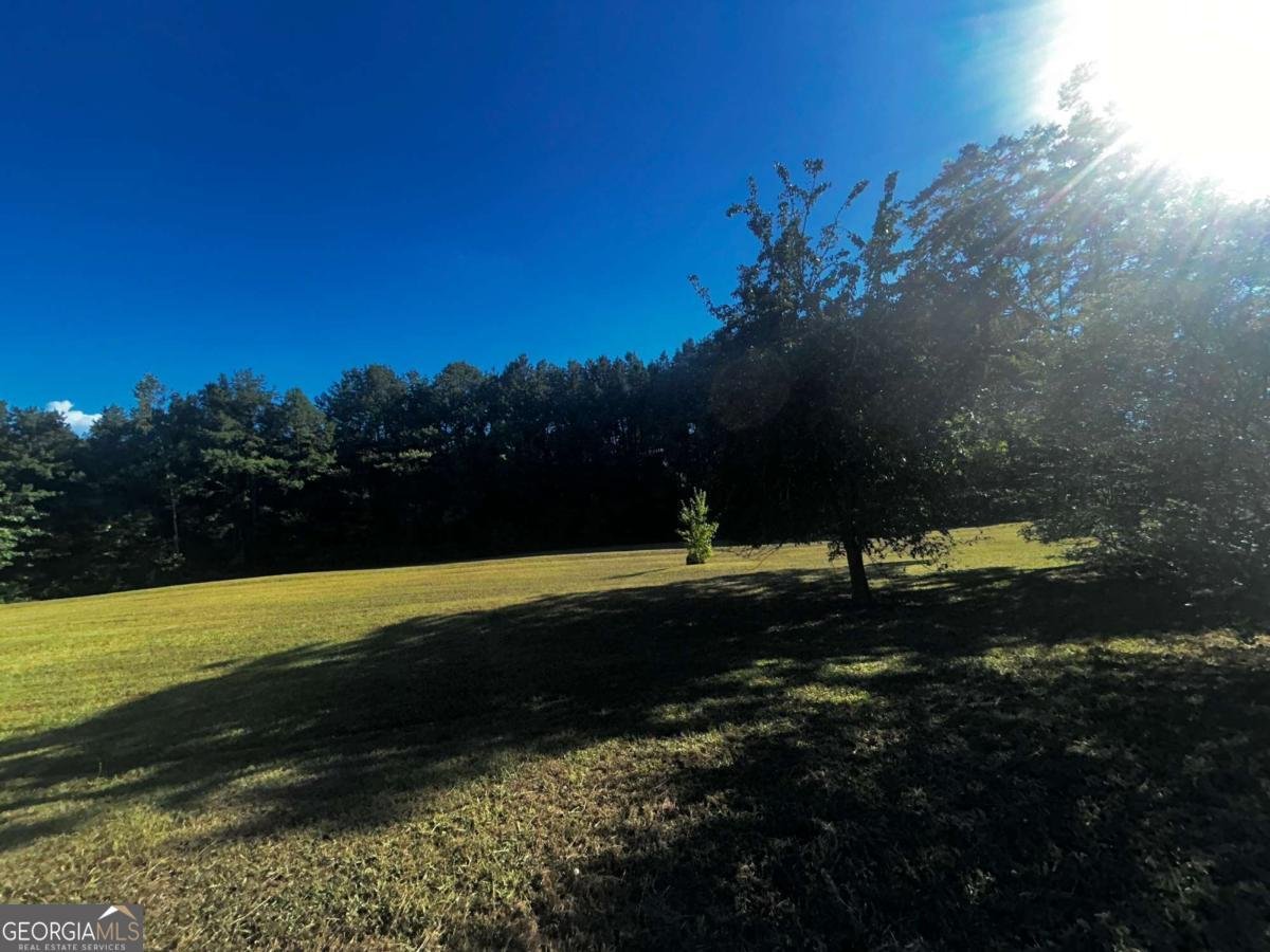 91 Almetie Drive Toccoa - 9