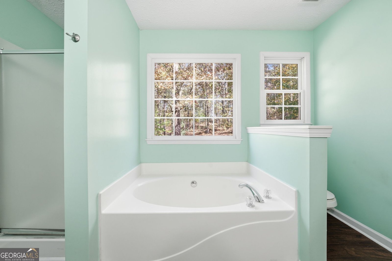 314 Calusa Place Ball Ground - 19