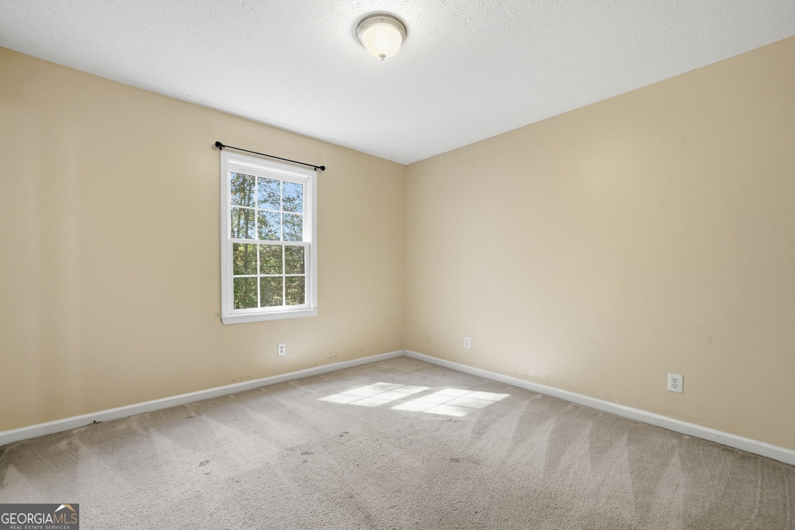 314 Calusa Place Ball Ground - 20