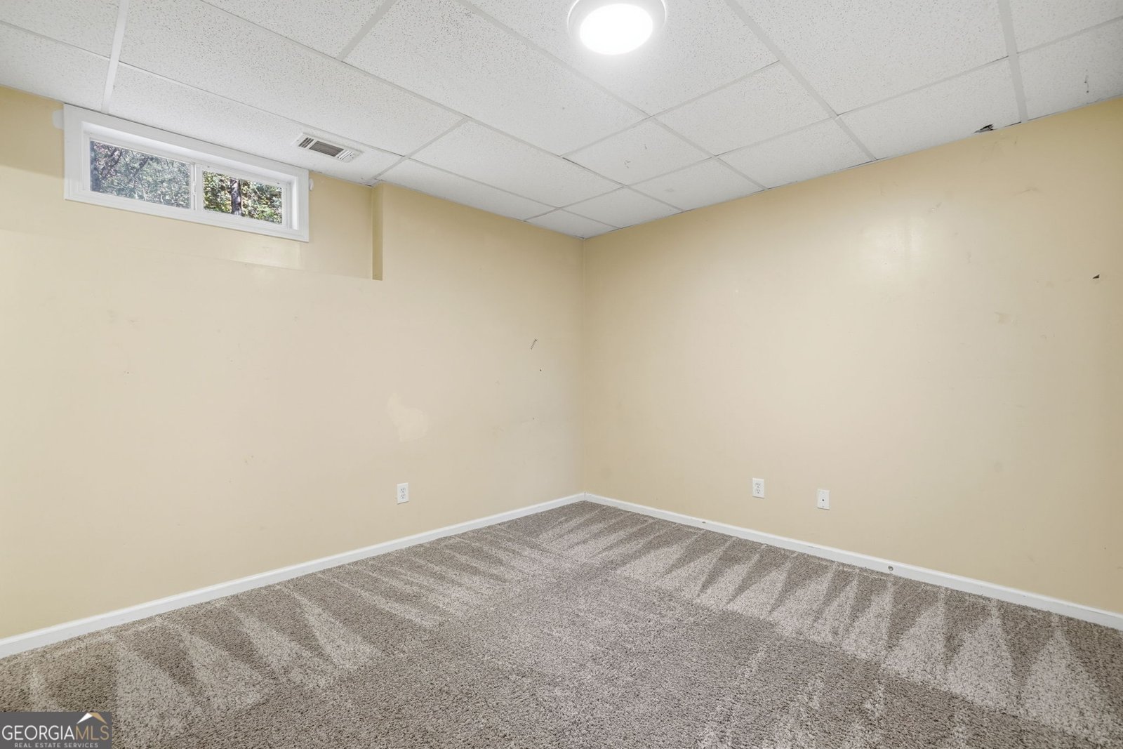 314 Calusa Place Ball Ground - 27