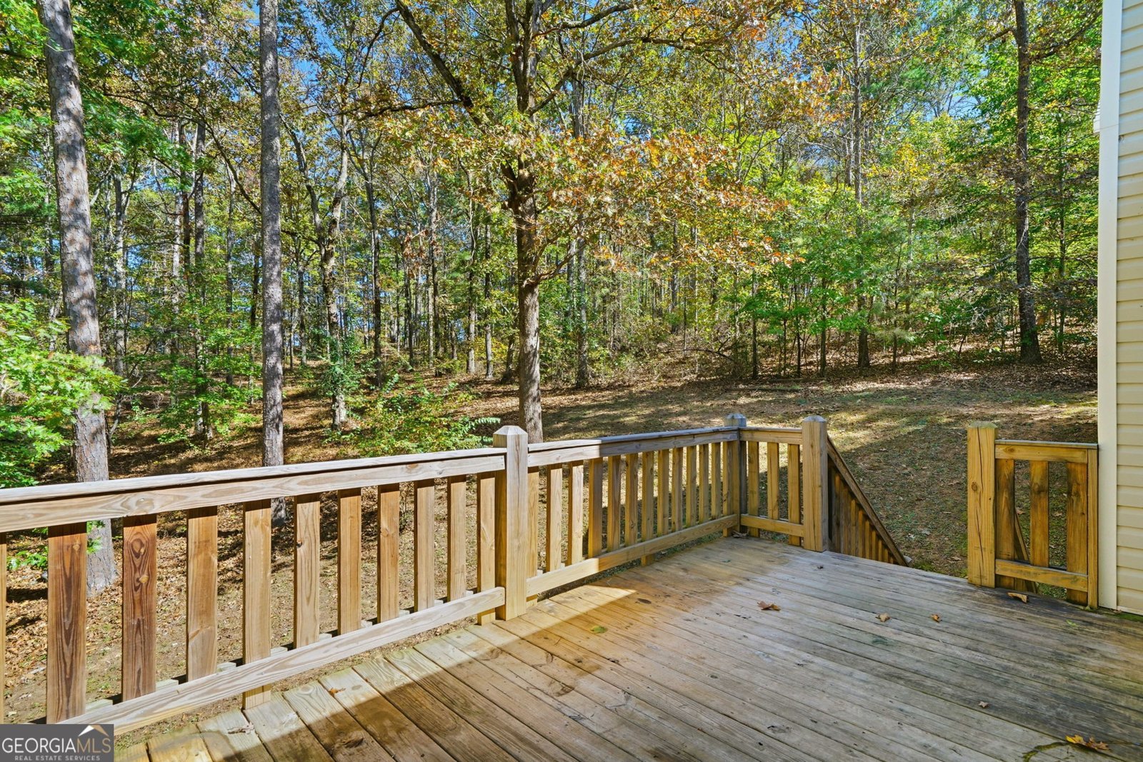 314 Calusa Place Ball Ground - 37