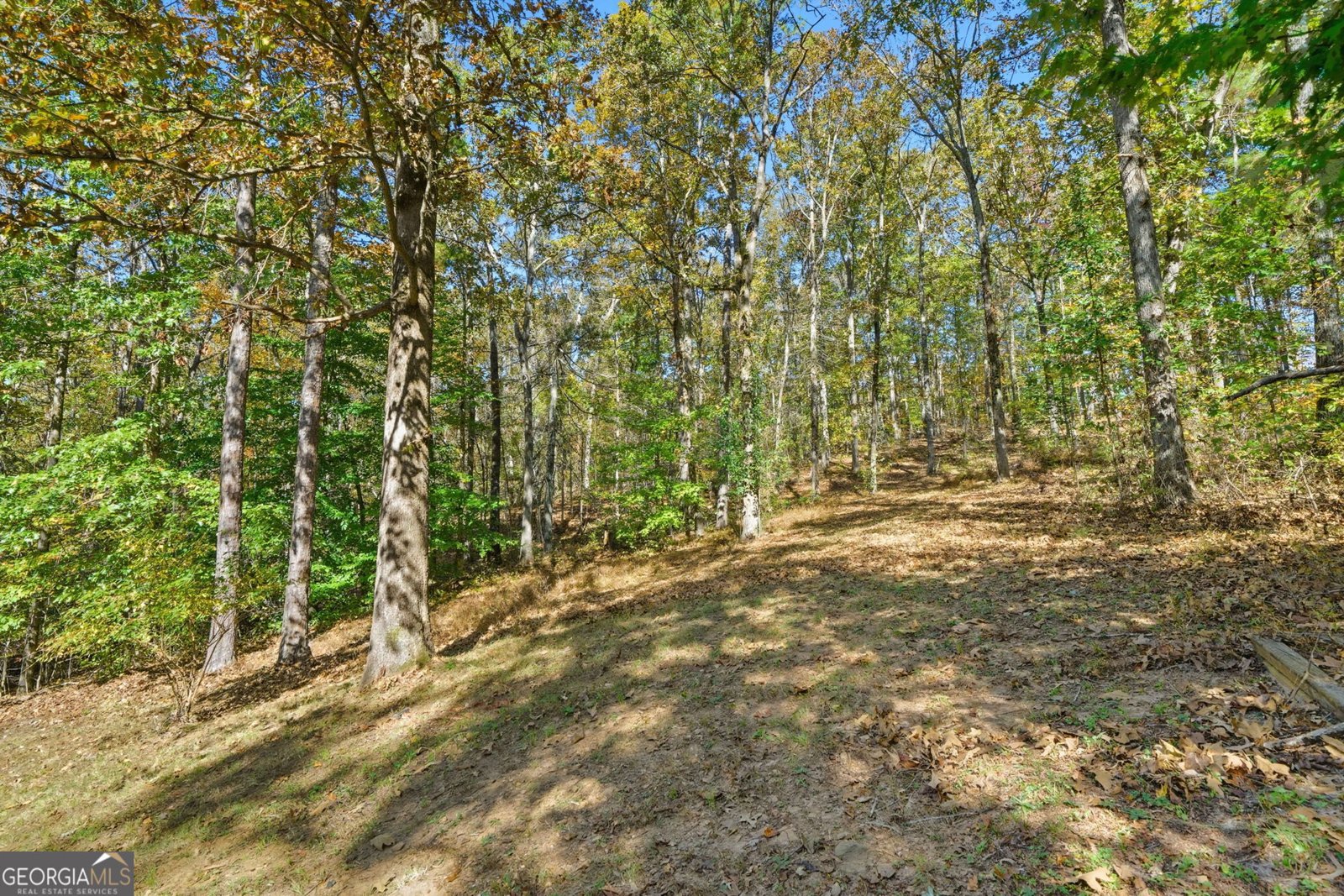 314 Calusa Place Ball Ground - 38