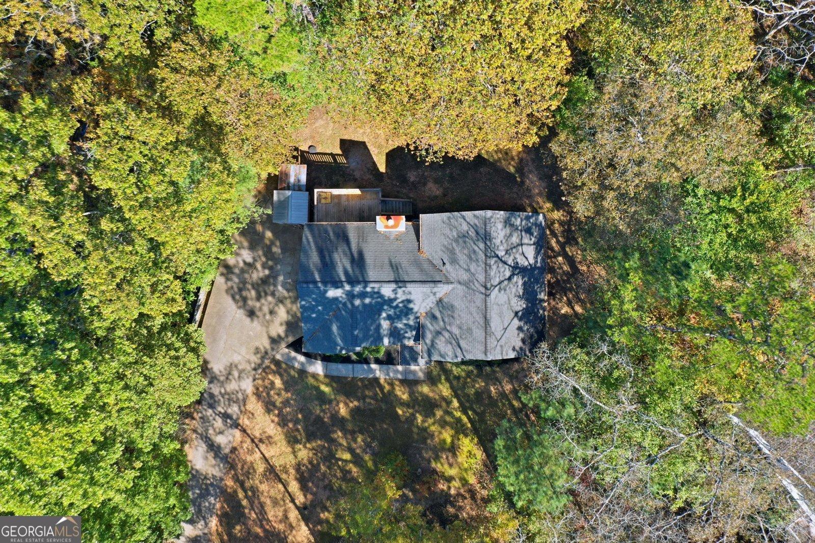 314 Calusa Place Ball Ground - 39