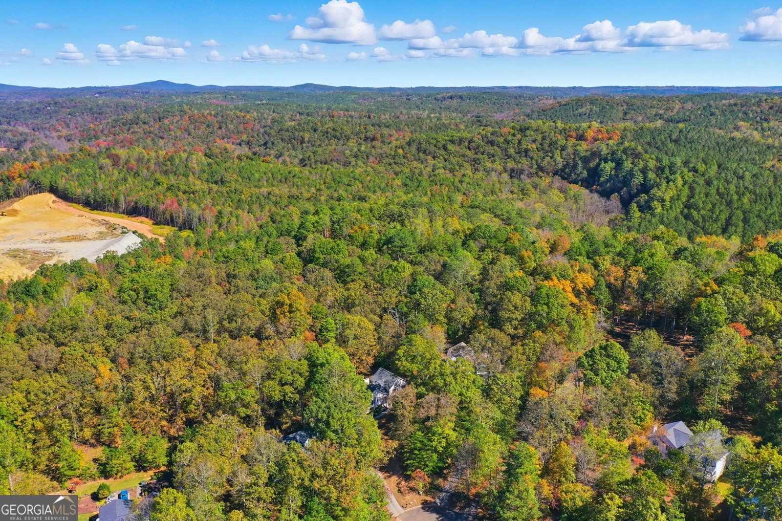 314 Calusa Place Ball Ground - 42