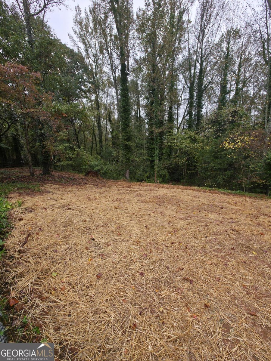 1221 Echo Trail Watkinsville - 40