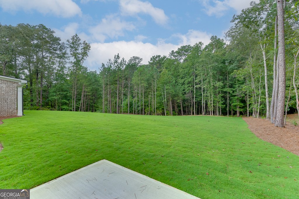 1311 Riverhill Drive Bishop - 49