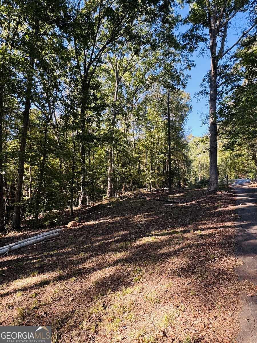 1516 Stark Road Jackson - 4