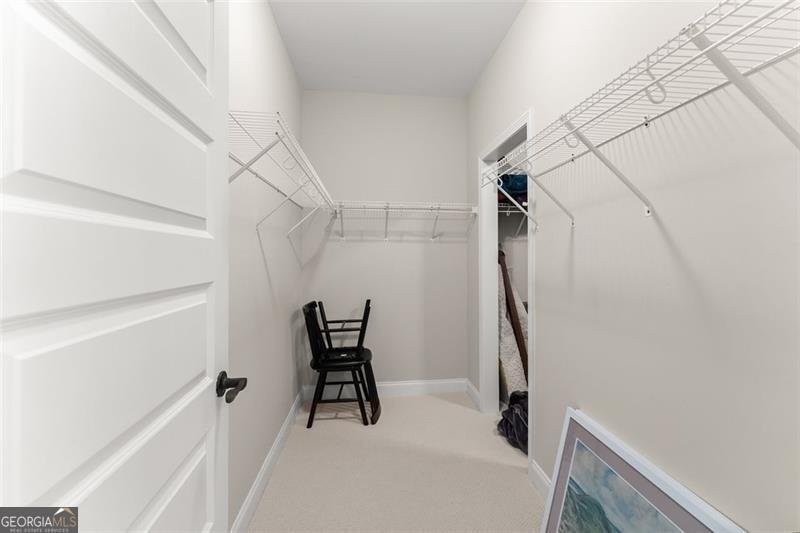 845 WALNUT RIVER Trail Hoschton - 43