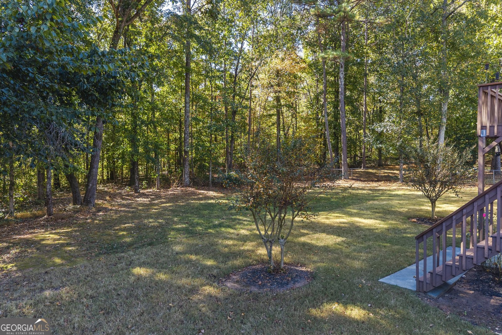 2655 Amber Creek Drive Douglasville - 40