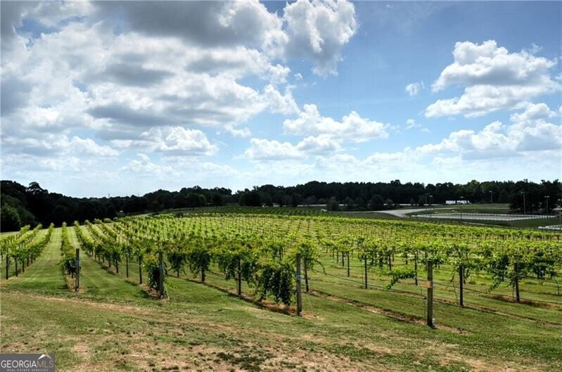 2415 Red Wine Oak Drive Braselton - 35