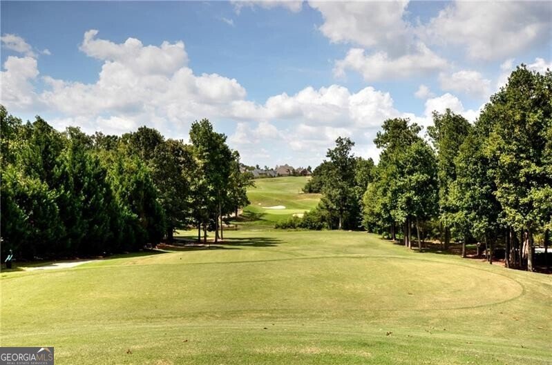 2415 Red Wine Oak Drive Braselton - 43