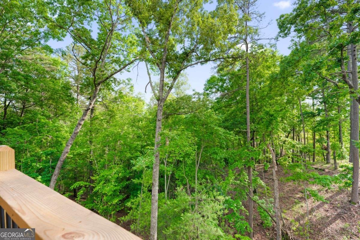 127 Crystal Lane Ellijay - 34