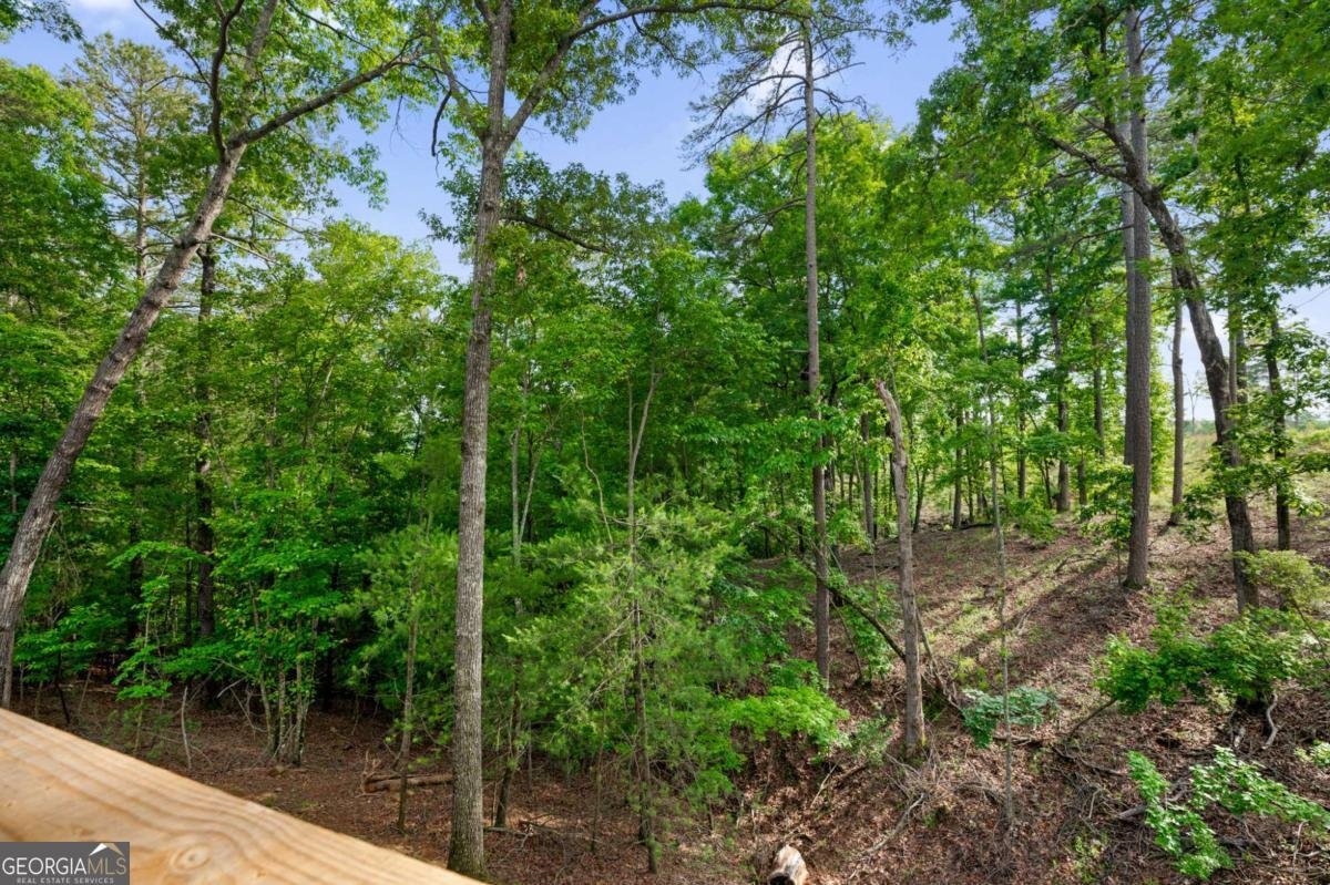 127 Crystal Lane Ellijay - 45