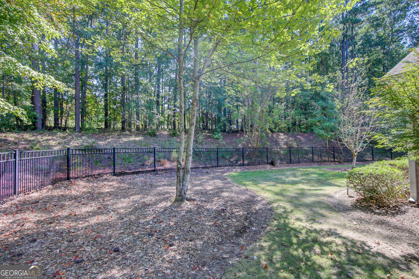 164 Brittany Lane Senoia - 42