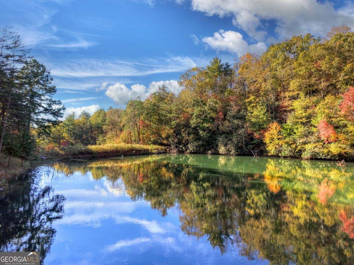 382 Pocaset Drive Ellijay - 5