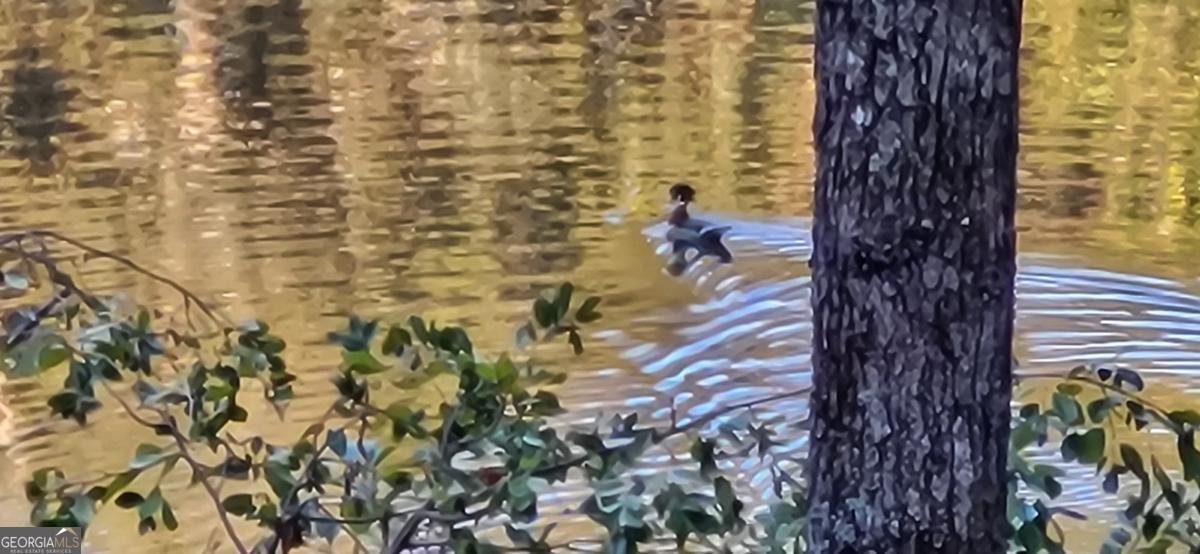 382 Pocaset Drive Ellijay - 65