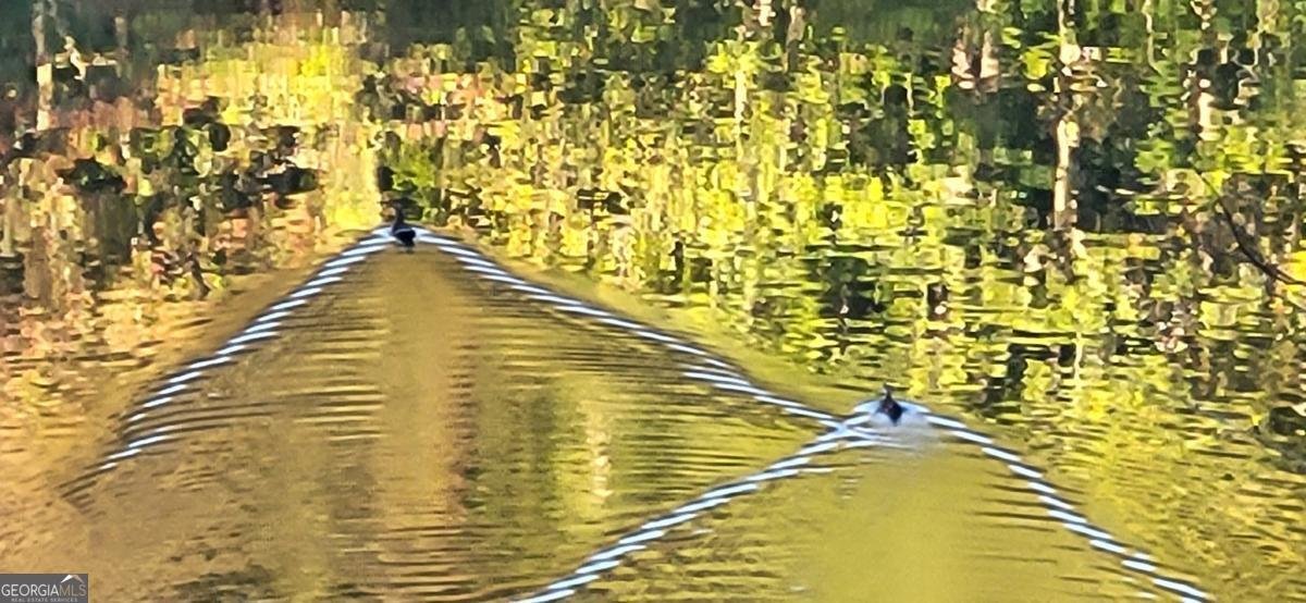 382 Pocaset Drive Ellijay - 66