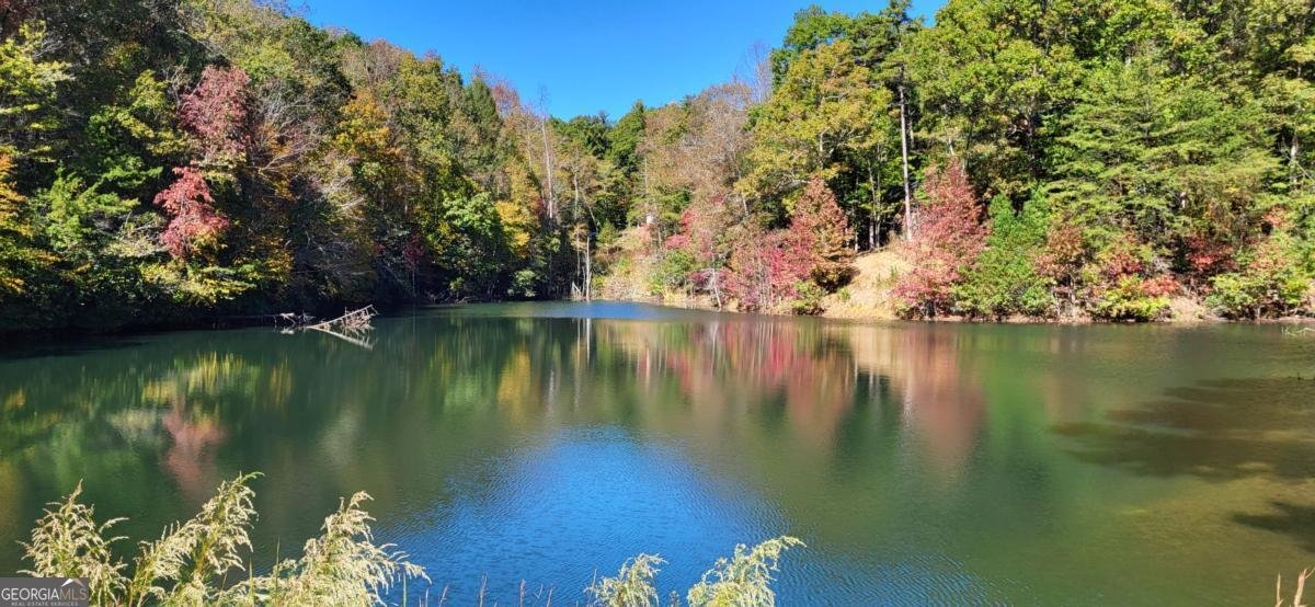 382 Pocaset Drive Ellijay - 67