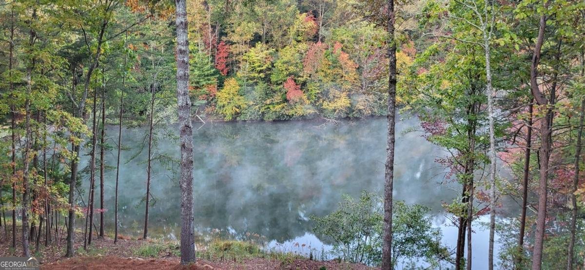 382 Pocaset Drive Ellijay - 68