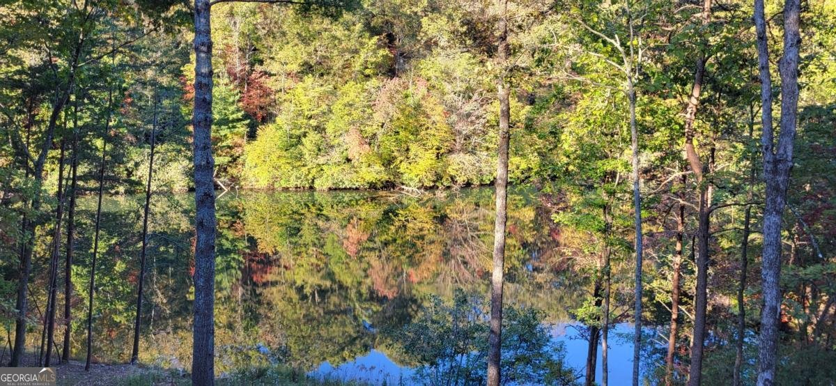 382 Pocaset Drive Ellijay - 69