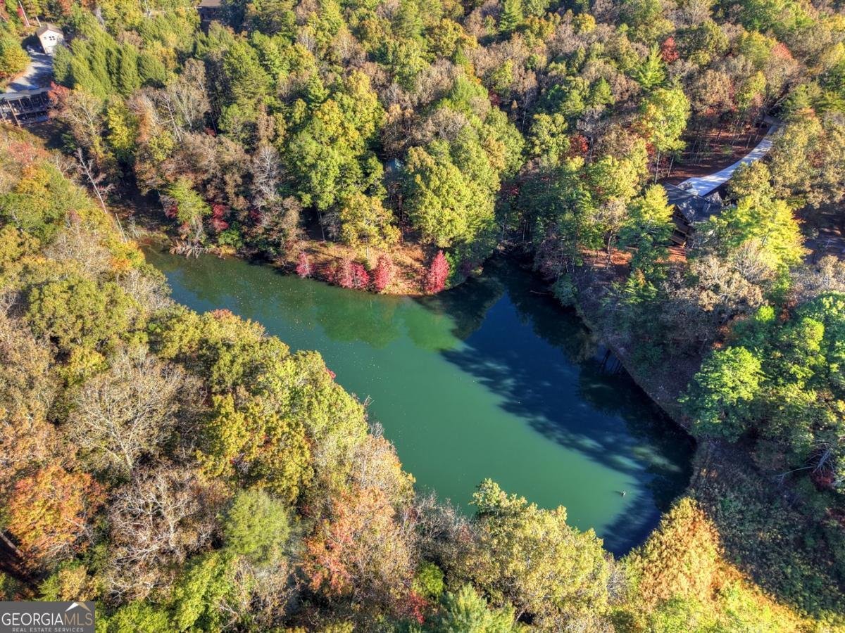 382 Pocaset Drive Ellijay - 71