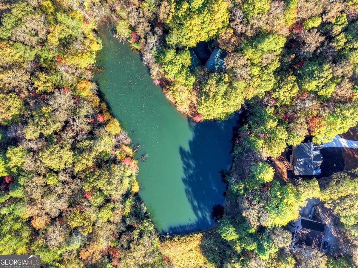 382 Pocaset Drive Ellijay - 72