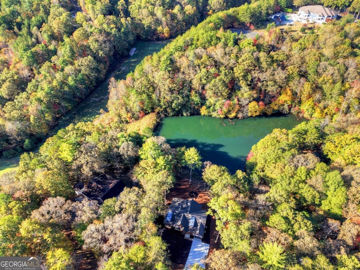 382 Pocaset Drive Ellijay - 74