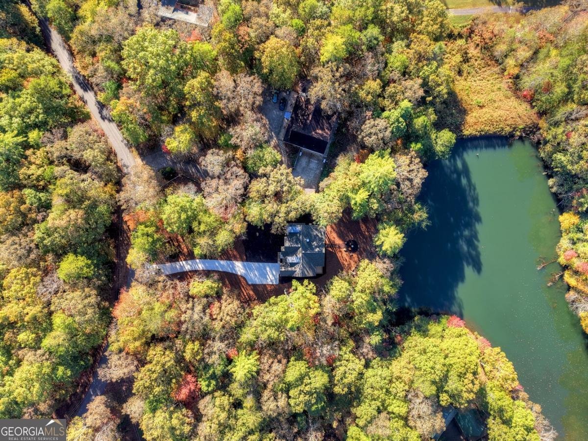 382 Pocaset Drive Ellijay - 75