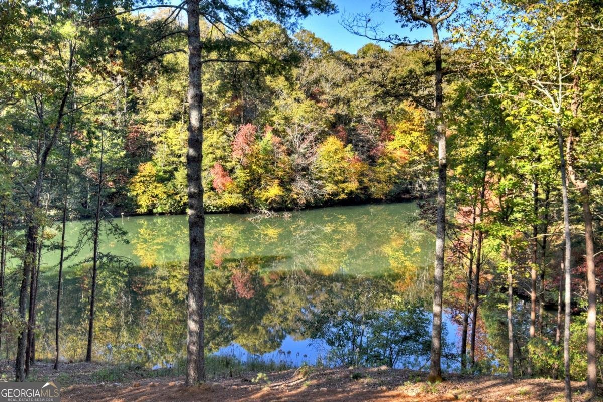 382 Pocaset Drive Ellijay - 76