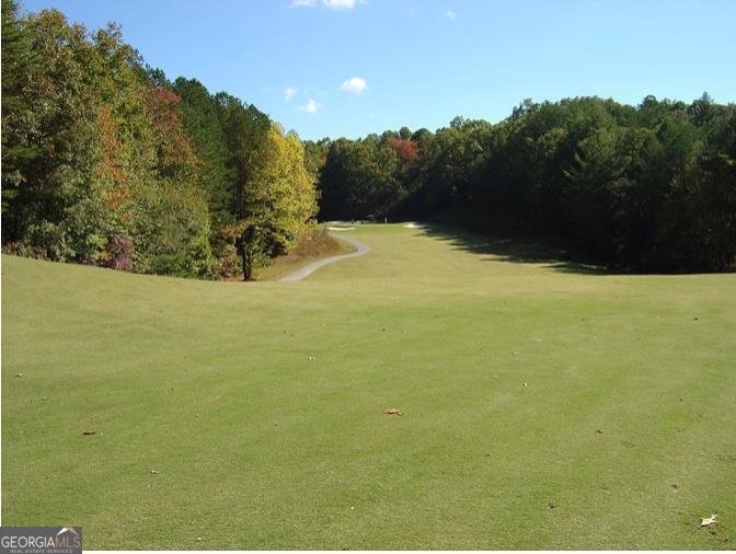 382 Pocaset Drive Ellijay - Photo 77