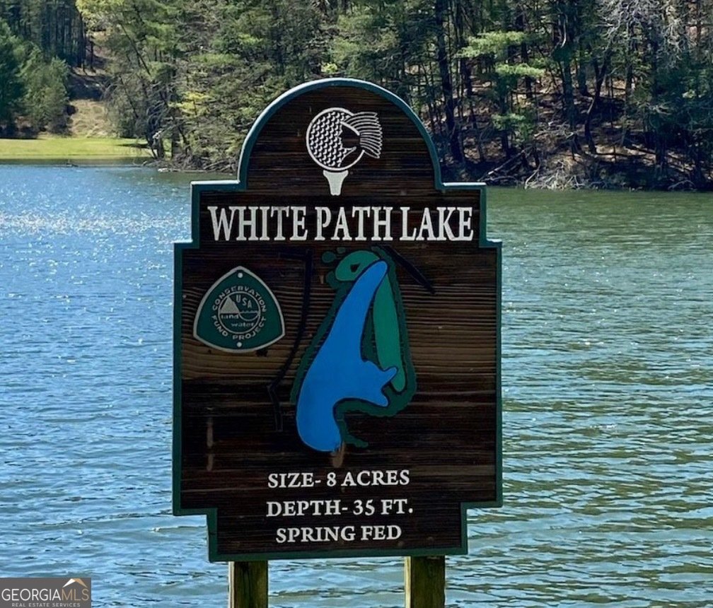 382 Pocaset Drive Ellijay - Photo 80