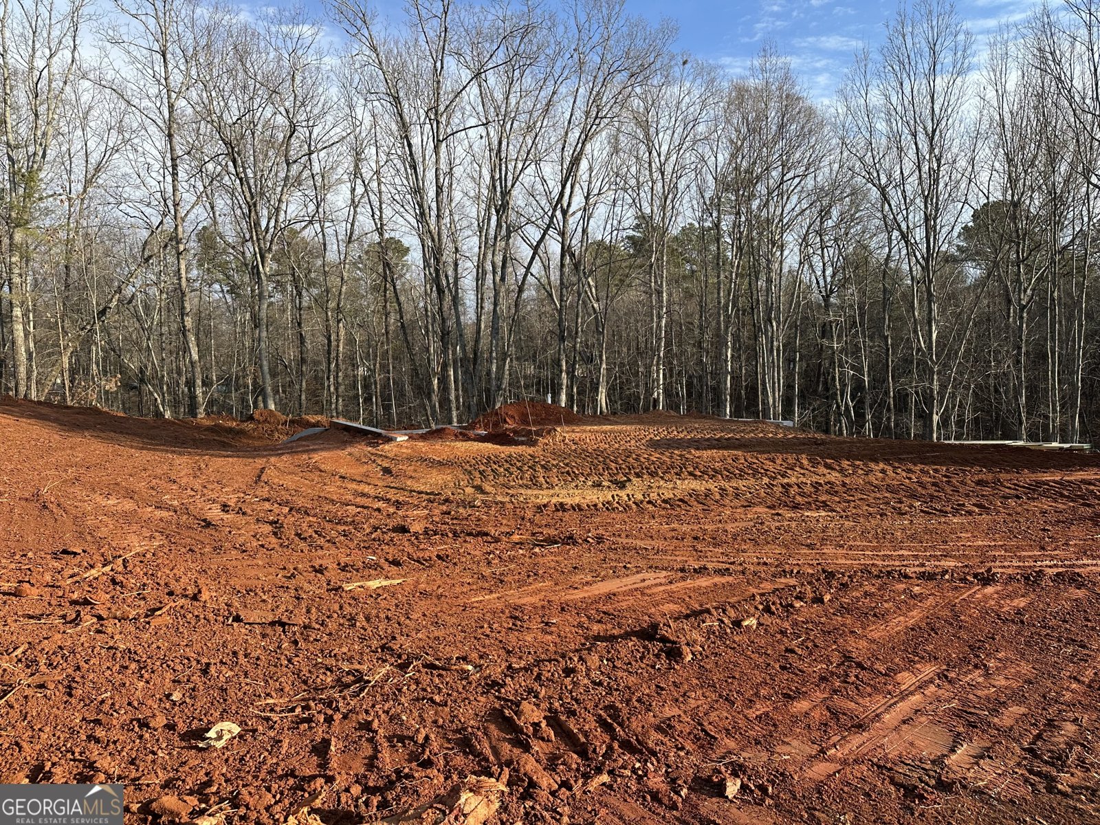 5120 Daylily Drive Braselton - Photo 13