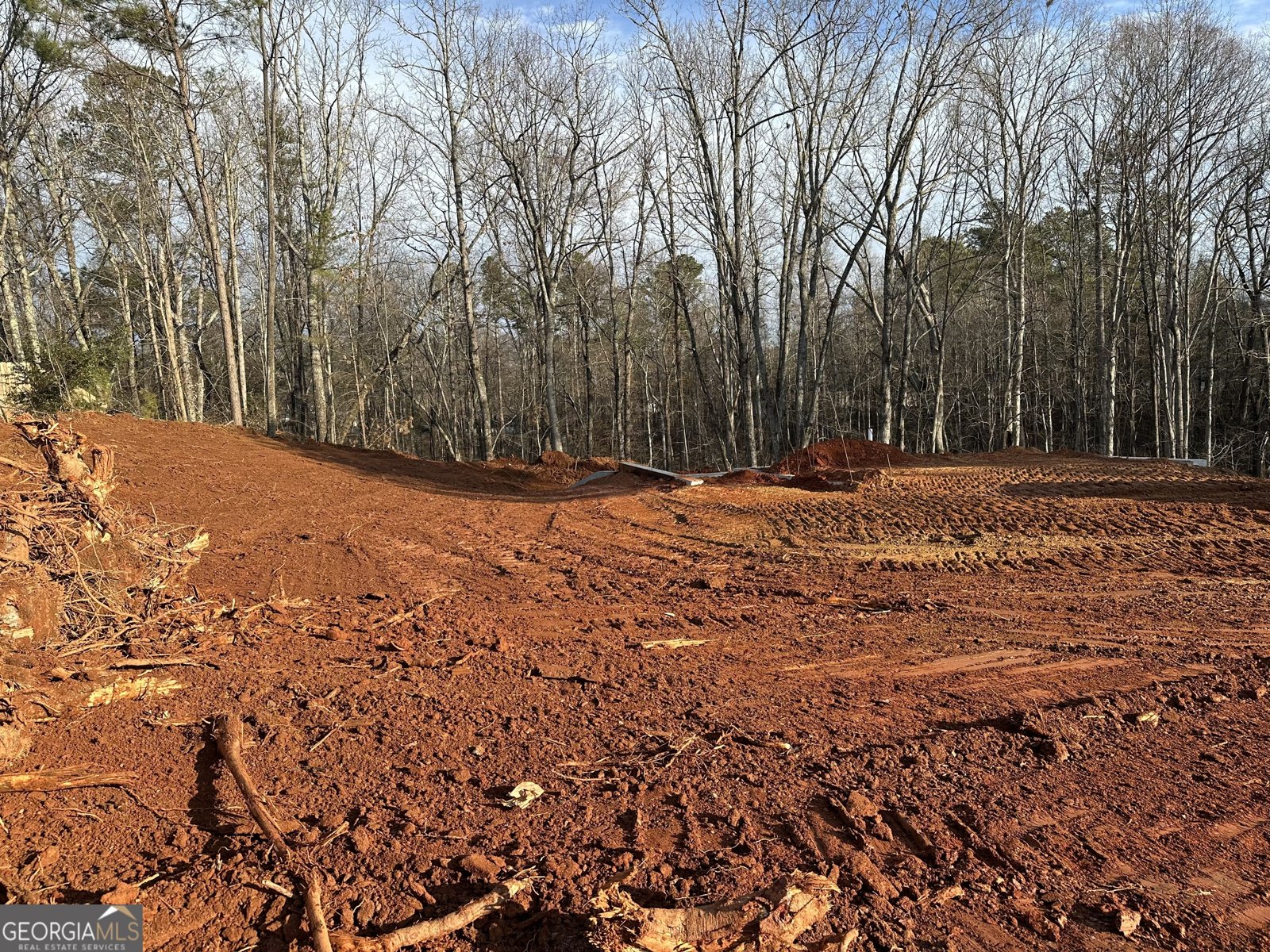 5120 Daylily Drive Braselton - Photo 15