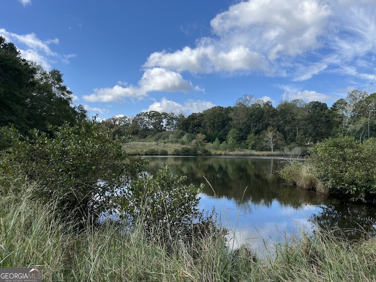 77 Little River Road Carrollton - 12