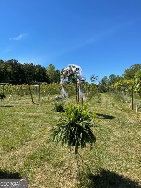 77 Little River Road Carrollton - 39