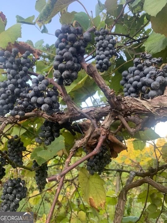 77 Little River Road Carrollton - 40