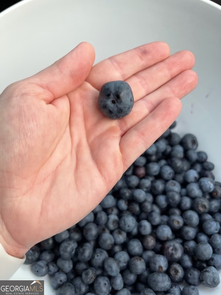 77 Little River Road Carrollton - 41